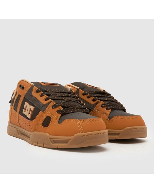 Dc Brown Stag Trainers for men