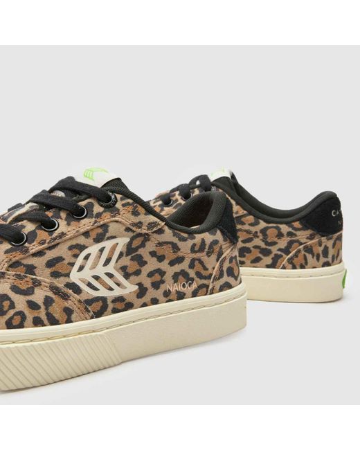 CARIUMA Brown Naioca Trainers