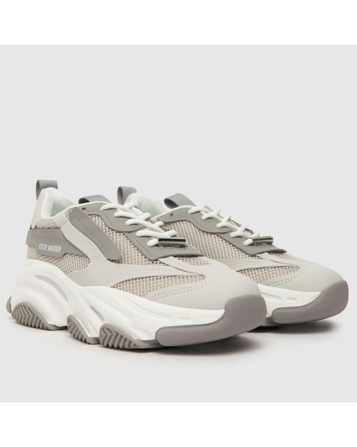 Steve Madden Gray Possession Trainers