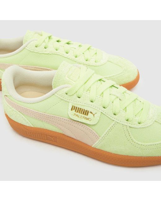 PUMA Yellow Palermo Trainers