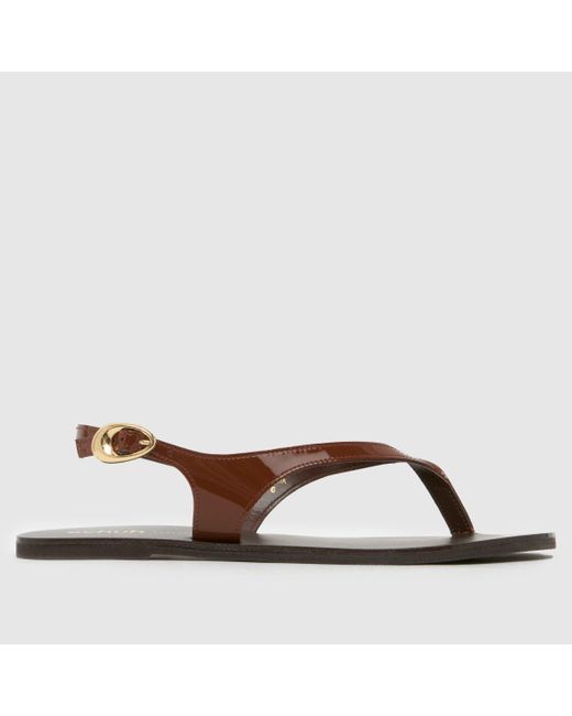 Schuh Brown Townsend Leather Toe Post Sandals