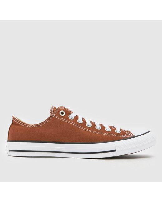 Converse Brown All Star Ox Trainers for men