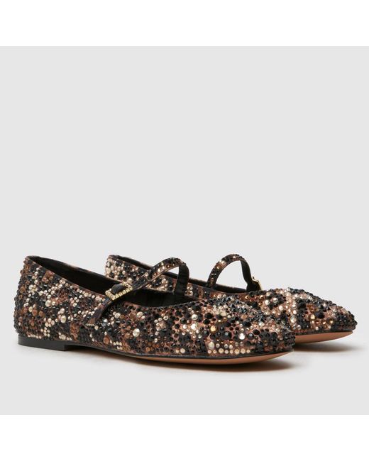 Steve Madden Brown Brissa-R Ballerina Flats