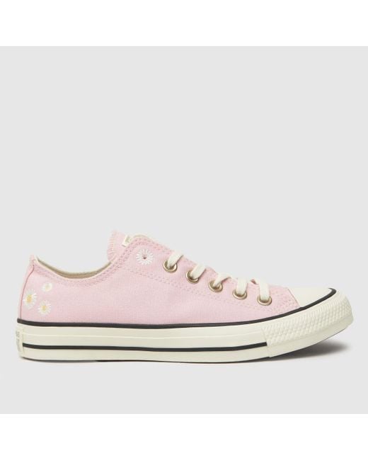 Converse All Star Ox Festival Florals Trainers In White & Pink
