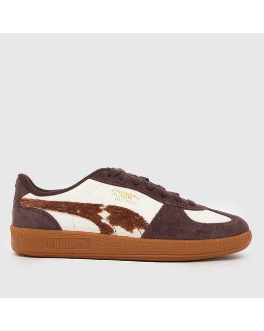 PUMA Brown Palermo Trainers