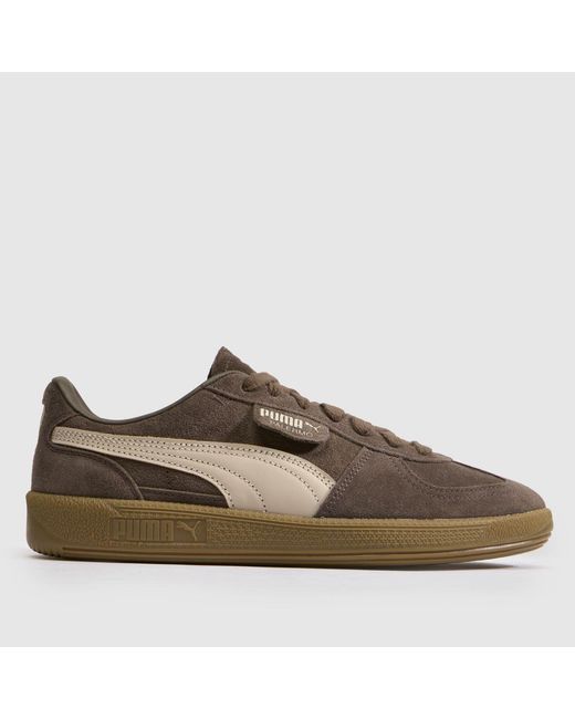PUMA Brown Palermo Trainers for men