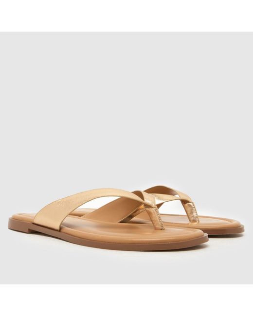 Schuh Natural Thailand Leather Toe Post Sandals
