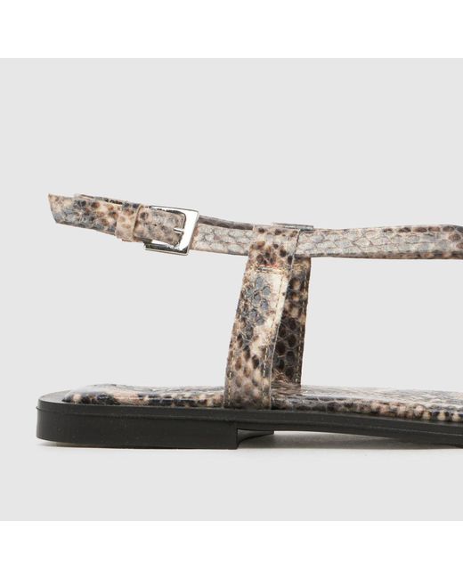 Schuh Brown Taran Metal Toeloop Sandals