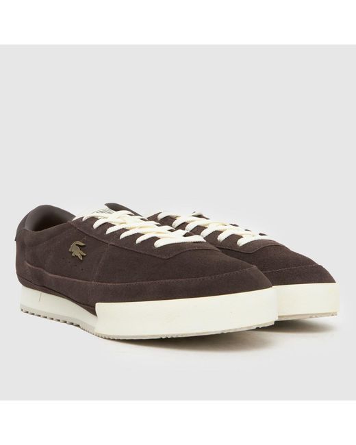 Lacoste Brown Aura Trainers for men