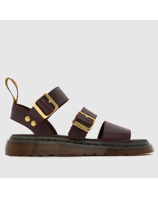 Dr. Martens Brown Gryphon Sandals