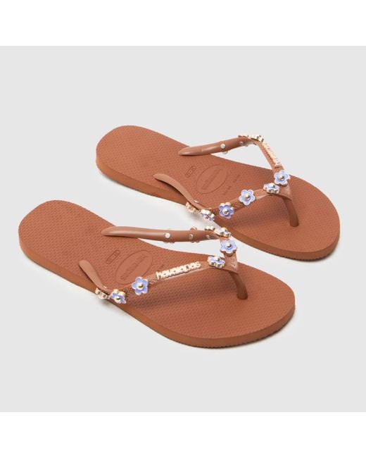 Havaianas Brown Slim Stylish Flip Sandals