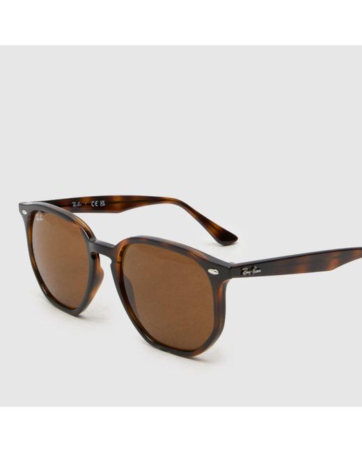 Ray-Ban Brown Hexagonal Sunglasses