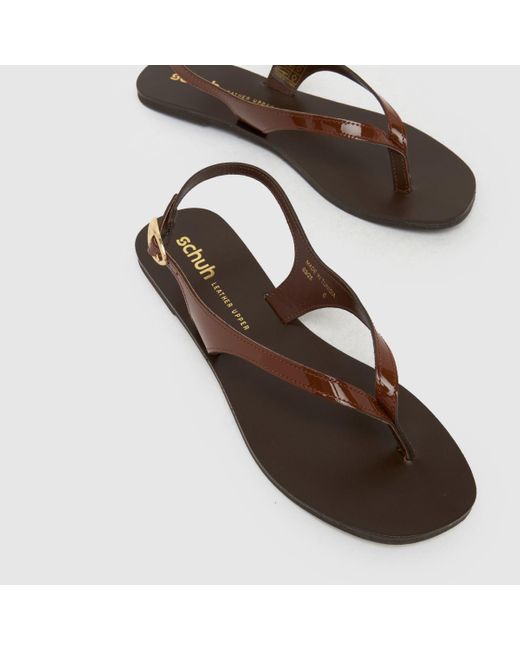 Schuh Brown Townsend Leather Toe Post Sandals