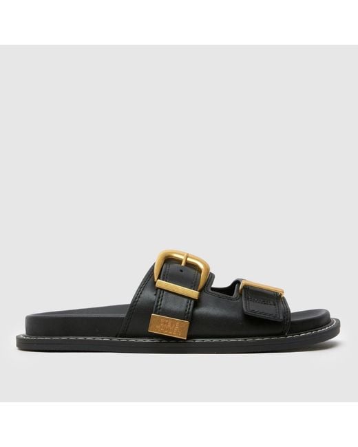 Steve Madden Black Arch-E Sandals