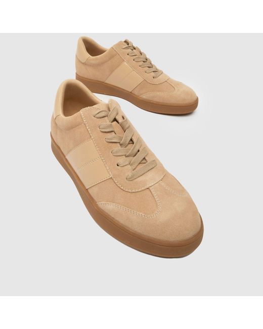 Schuh Brown Miley Suede Trainer Trainers