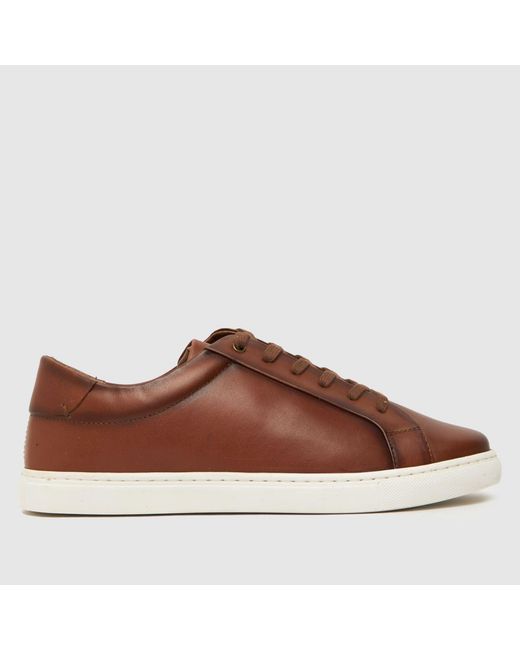 Schuh Brown Wayne Casual Trainers for men