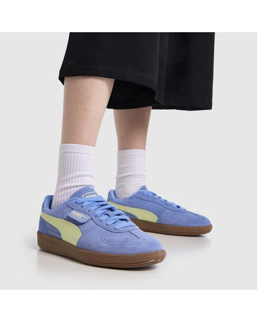 PUMA Blue Palermo Trainers