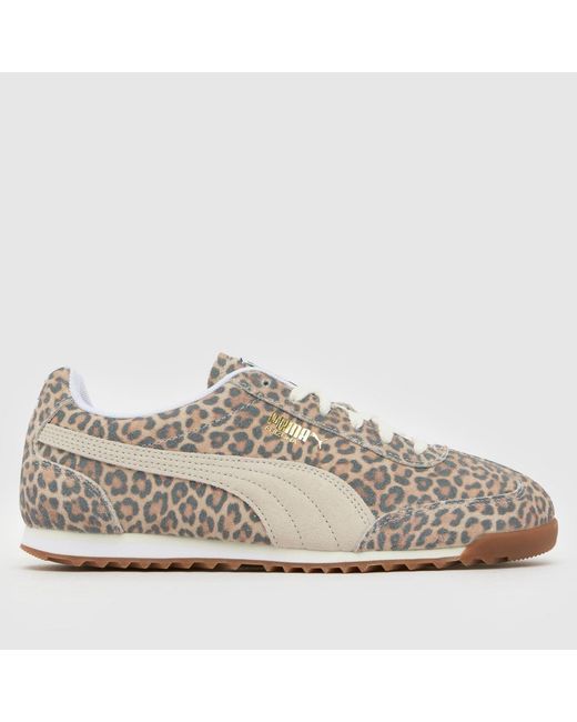 PUMA Multicolor Arizona Trainers