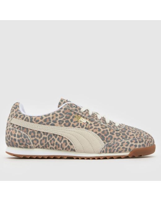 PUMA Multicolor Arizona Trainers