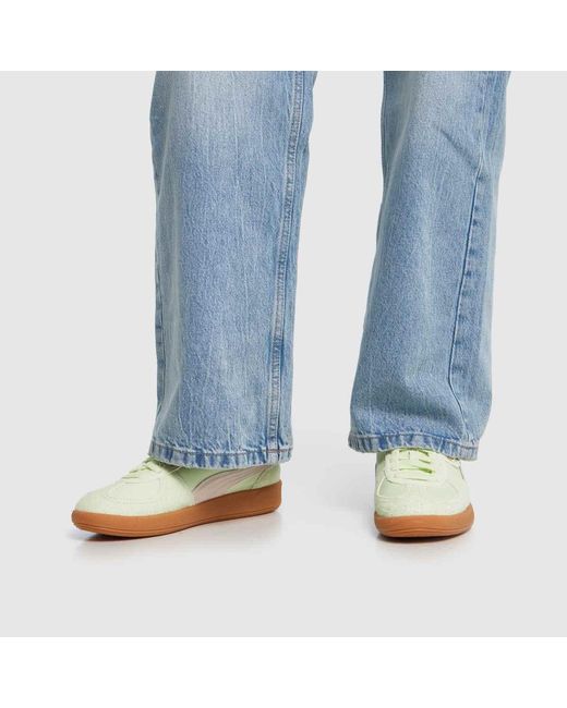 PUMA Yellow Palermo Trainers