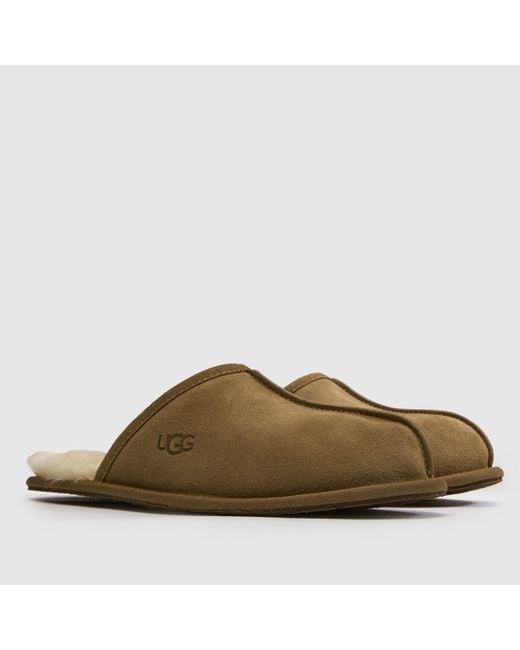 Ugg Brown Scuff Slippers for men