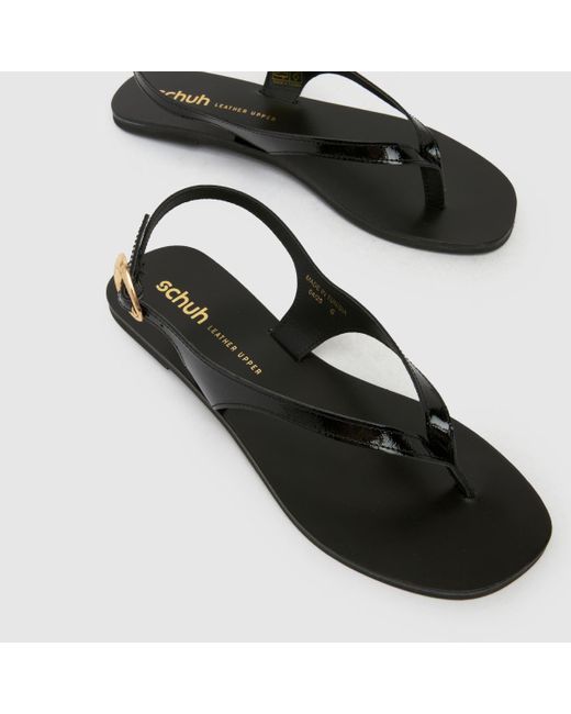 Schuh Brown Townsend Leather Toe Post Sandals