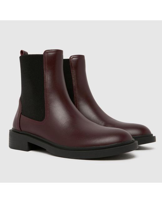 Schuh Brown Astrid Leather Chelsea Boots
