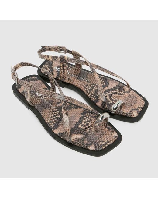 Schuh Brown Taran Metal Toeloop Sandals