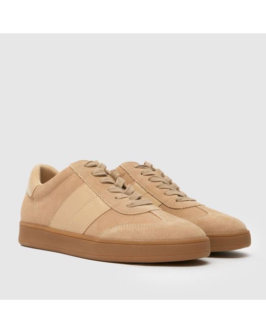 Schuh Brown Miley Suede Trainer Trainers