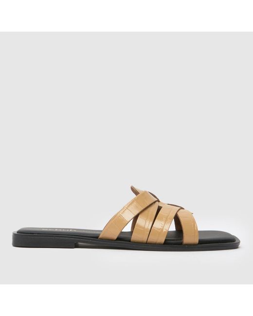 Schuh Brown Tallie Mule Sandals