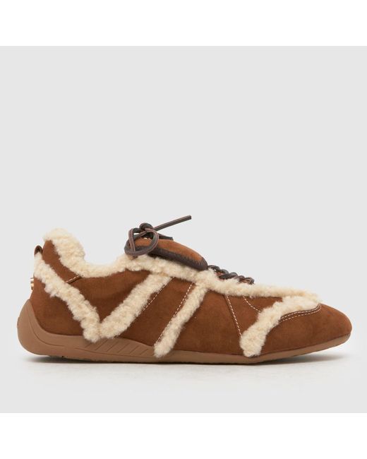 Steve Madden Brown Freezone Trainers