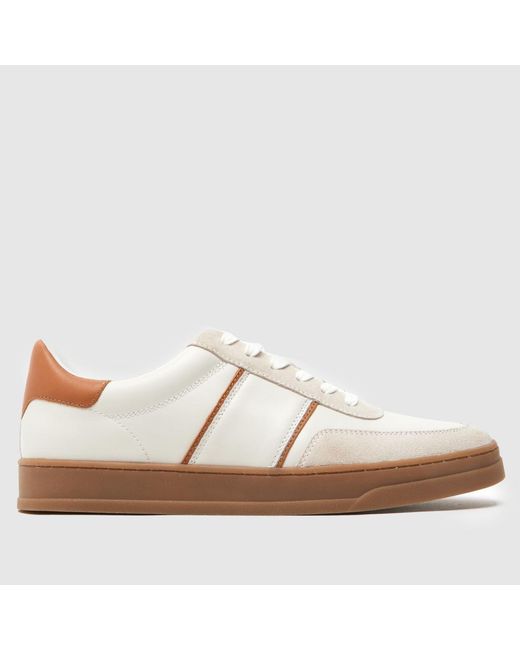 Schuh Brown Winnie Gum Sole Trainers for men