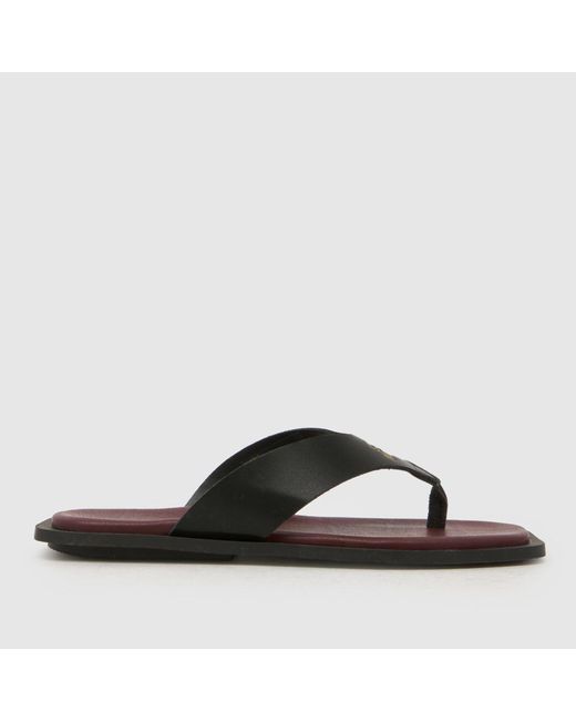 Steve Madden Brown Splash-B Flip Sandals