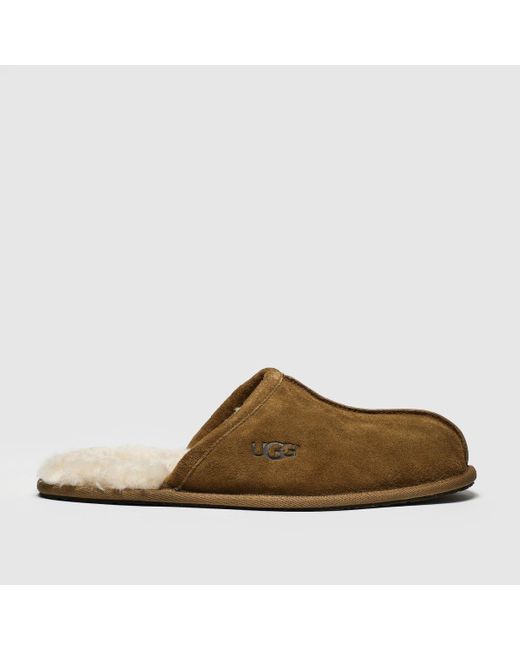 Ugg Brown Scuff Slippers In for men