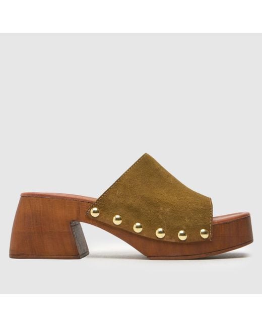 Schuh Brown Via Clog Sandals
