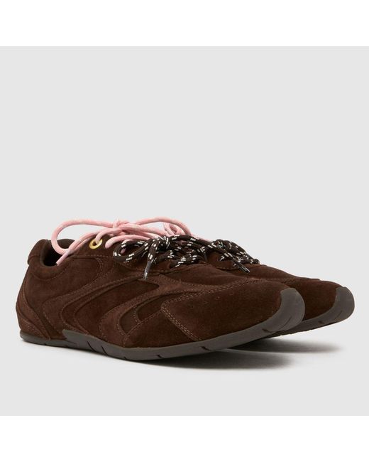 Schuh Brown Mindy Suede Lace Up Trainers