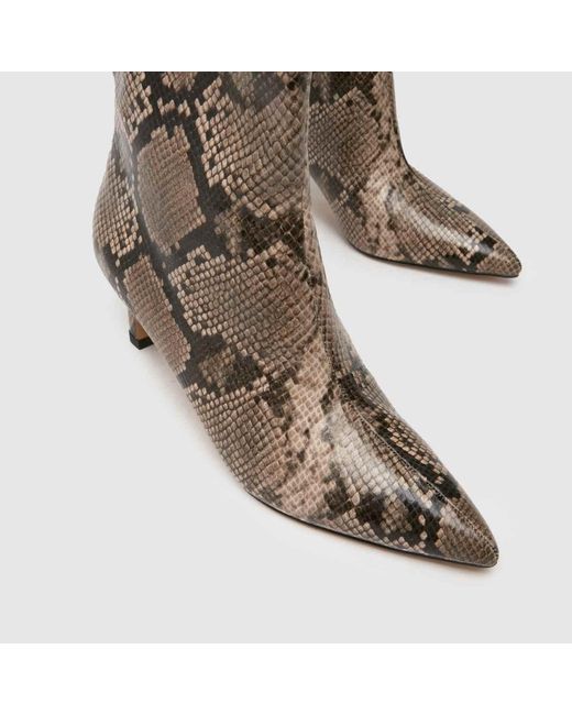 Schuh Brown Dottie Knee High Heel Boots