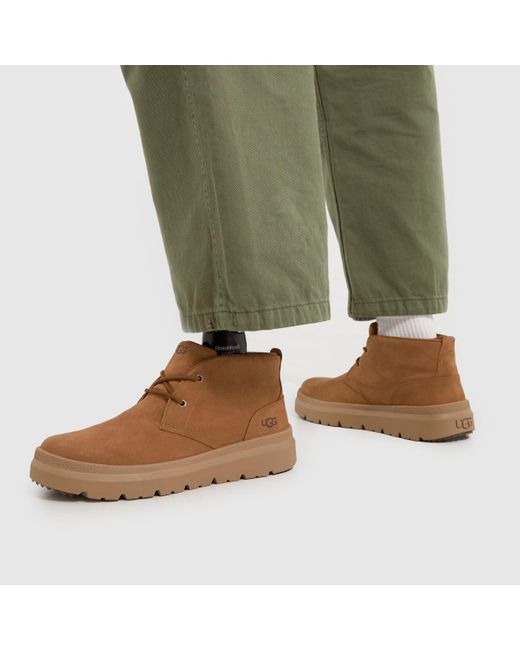 Ugg Brown Burleigh Chukka Boots In for men