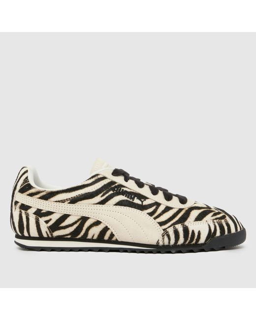 PUMA Multicolor Arizona Trainers