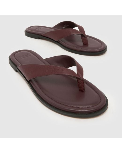 Schuh Brown Thailand Leather Toe Post Sandals