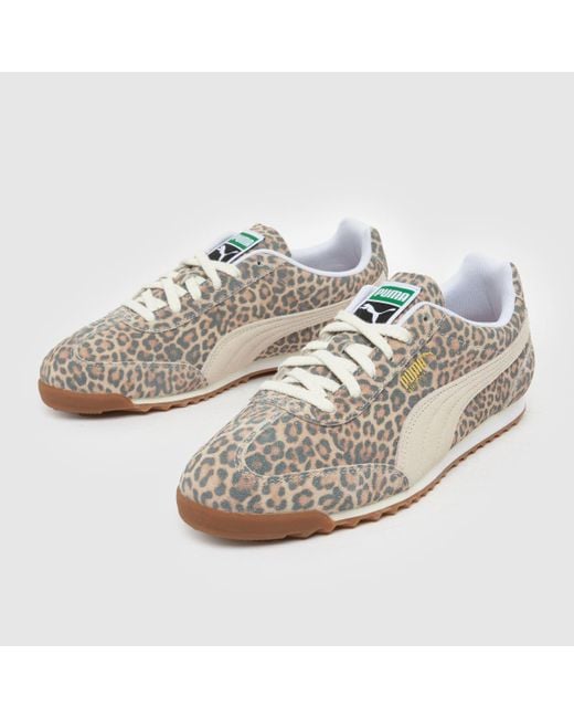 PUMA Multicolor Arizona Trainers