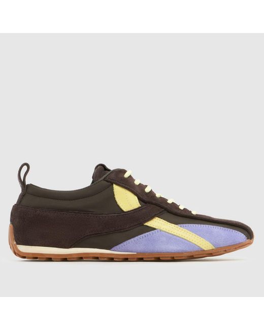 Alohas Brown Tb.390 Trainers