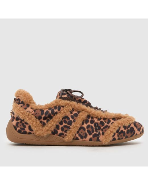 Steve Madden Brown Freezone Trainers