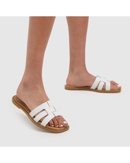 Schuh Brown Tierney Leather Sliders