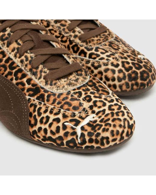 PUMA Brown Speedcat Trainers