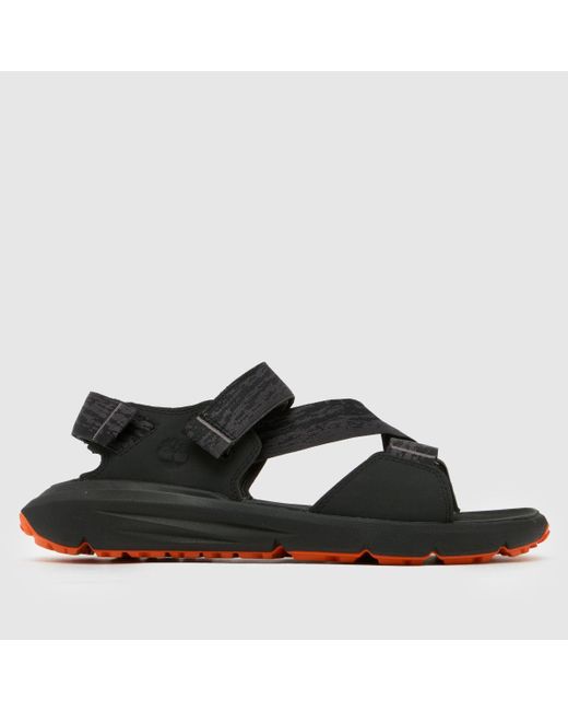 Timberland Black Motion Dune Backstrap Sandals for men