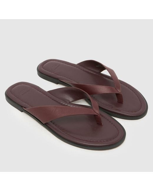Schuh Brown Thailand Leather Toe Post Sandals