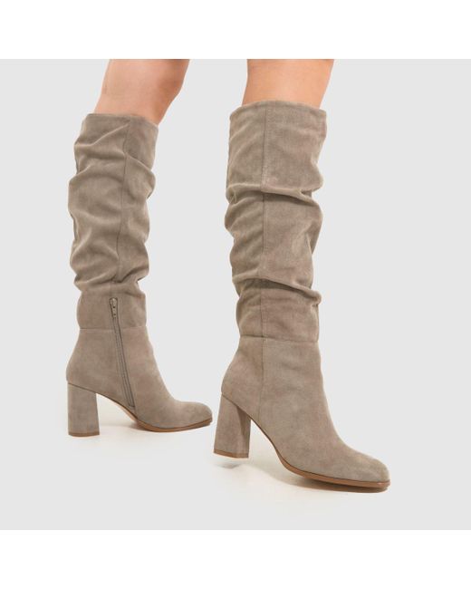 Schuh Gray Ladies Davina Slouche Knee Boots