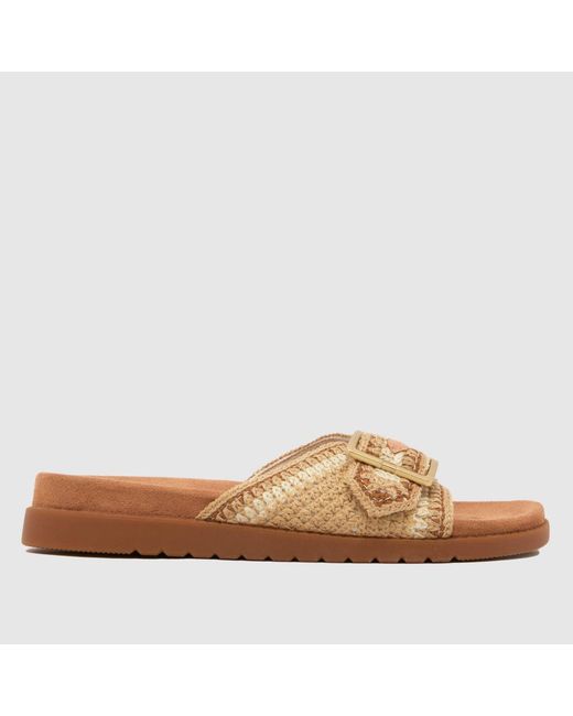 TOMS Brown Marin Slide Sandals