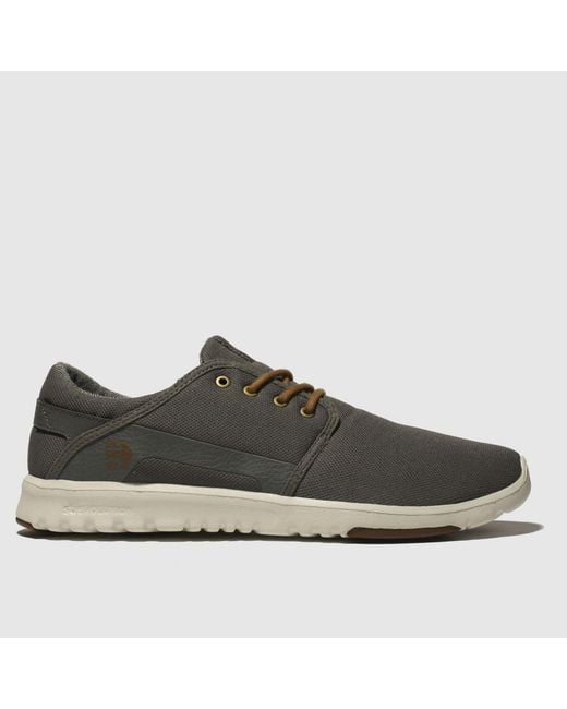 Etnies Gray Scout Trainers for men